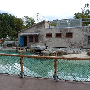 Penguin Coast - October 2014