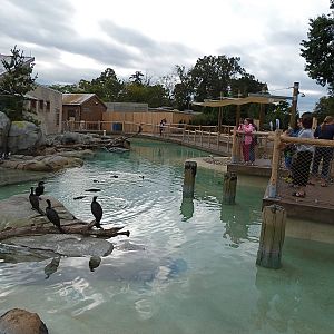 Penguin Coast - October 2014