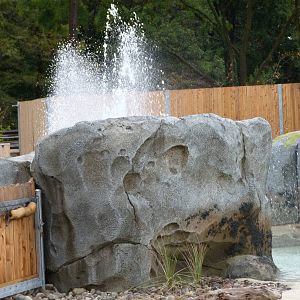 Penguin Coast - October 2014