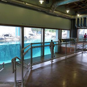 Penguin Coast - October 2014