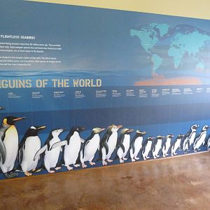 Penguin Coast - October 2014