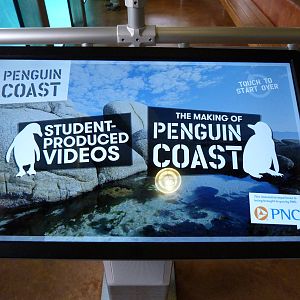 Penguin Coast - October 2014