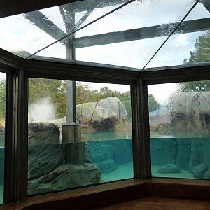 Penguin Coast - October 2014