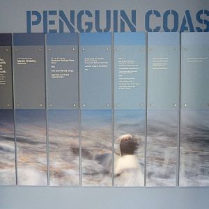 Penguin Coast - October 2014