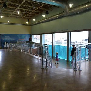 Penguin Coast - October 2014