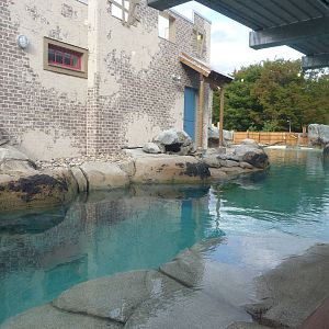 Penguin Coast - October 2014