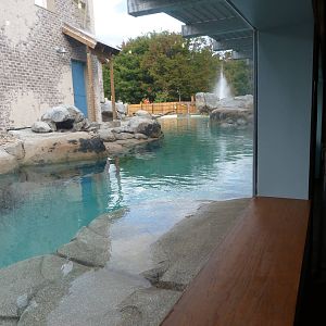 Penguin Coast - October 2014