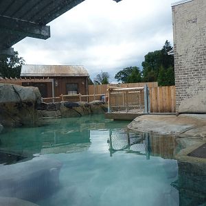 Penguin Coast - October 2014