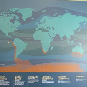 Penguin Coast - October 2014