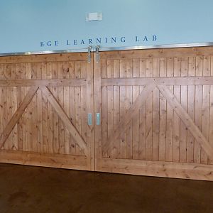 Penguin Coast - October 2014