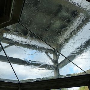 Penguin Coast - October 2014