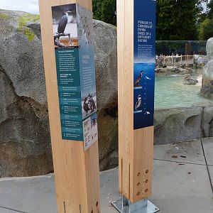 Penguin Coast - October 2014