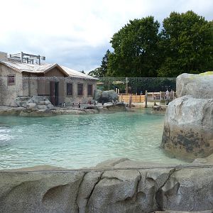 Penguin Coast - October 2014