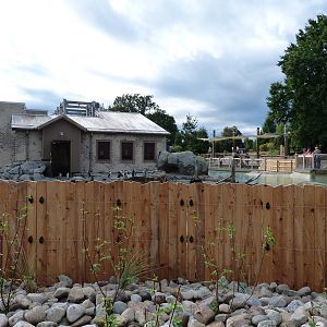 Penguin Coast - October 2014