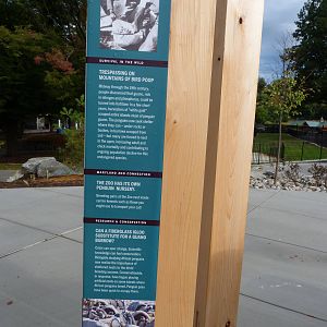 Penguin Coast - October 2014