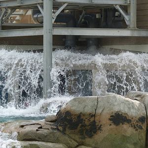 Penguin Coast - October 2014