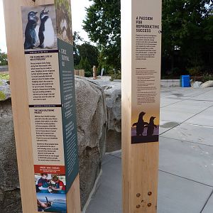 Penguin Coast - October 2014