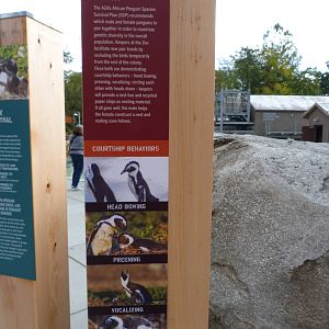 Penguin Coast - October 2014