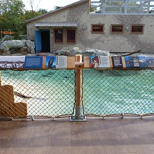 Penguin Coast - October 2014n