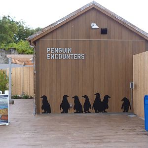 Penguin Coast - October 2014