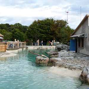 Penguin Coast - October 2014