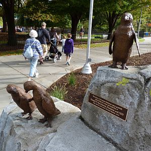 Penguin Coast - October 2014