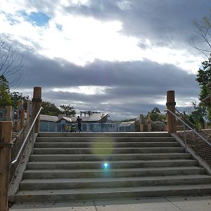 Penguin Coast - October 2014