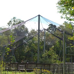 Marsh Aviary