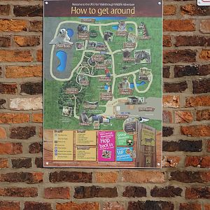 Park Map at Yorkshire Wildlife Park