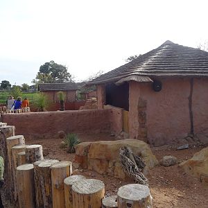 Meerkat/Mongoose Exhibits at Yorkshire Wildlife Park