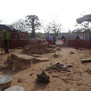 Meerkat Exhibit at Yorkshire Wildlife Park