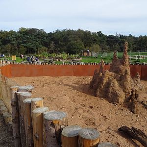 Meerkat Exhibit at Yorkshire Wildlife Park