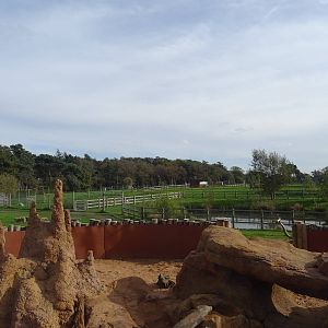General View of Yorkshire Wildlife Park