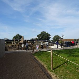 View of Baboon Exhibit at Yorkshire Wildlife Park