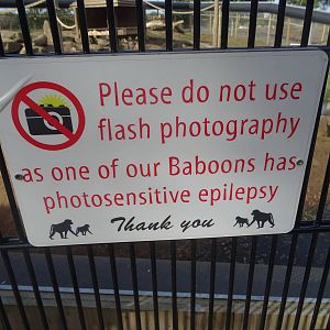Sign for Baboon With Photosensitive Epilepsy at Yorkshire Wildlife Park