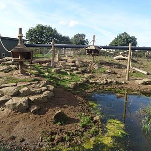 Guinea Baboon Exhibit at Yorkshire Wildlife Park