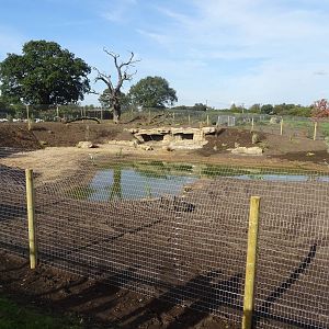 African Hunting Dog Exhibit WIP at Yorkshire Wildlife Park