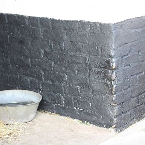 New paintwork in the pig pens, 3rd October 2014