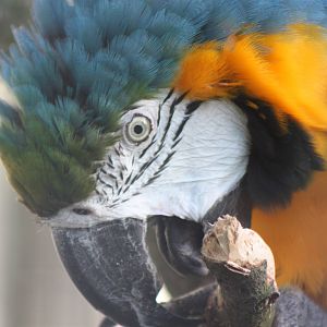 Monty, 5th October 2014