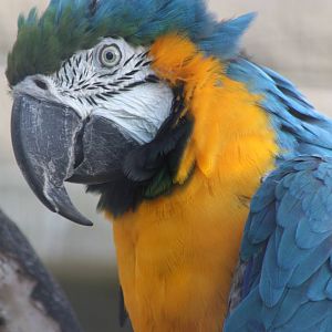 Monty, 5th October 2014