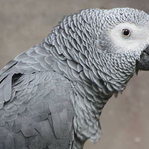 Charlie, 25th September 2014