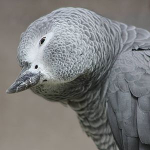 Charlie, 25th September 2014