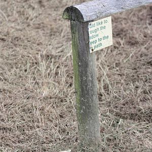 Oh dear, who would admit visitors? 25th September 2014