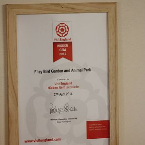 Award certificate received, framed and displayed on 25th September 2014