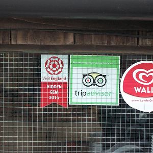 A sticker accompanied the certificate, 25th September 2014