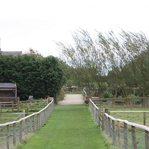 Evidence of a breezy day, 25th September 2014