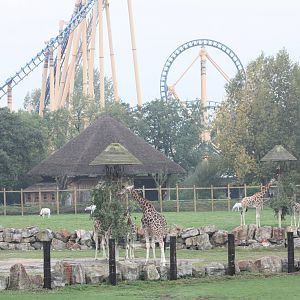 Two faces of Flamingo Land, 30th September 2014