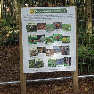 Woodland Wonders Sign