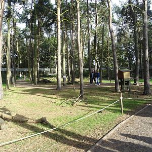 General View of Lemur Woods at Yorkshire Wildlife Park