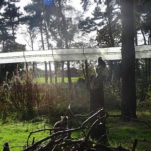 General View of Lemur Woods at Yorkshire Wildlife Park